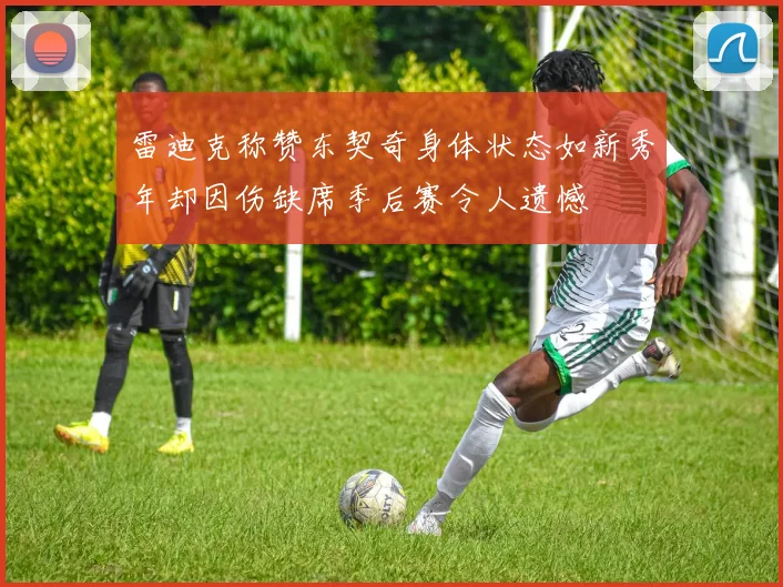 雷迪克称赞东契奇身体状态如新秀年却因伤缺席季后赛令人遗憾