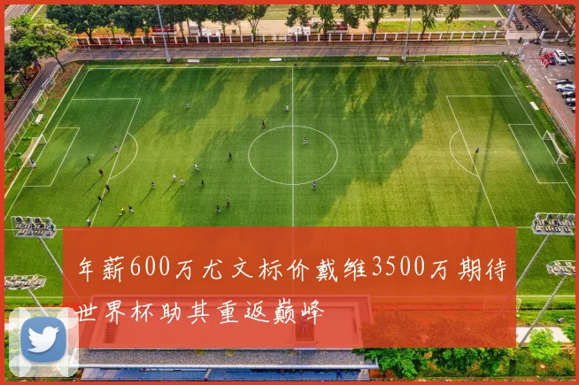 年薪600万尤文标价戴维3500万期待世界杯助其重返巅峰