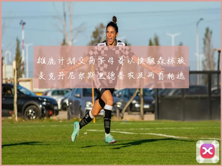 雄鹿计划交易字母哥以换取森林狼麦克丹尼尔斯里德香农及两首轮选秀权