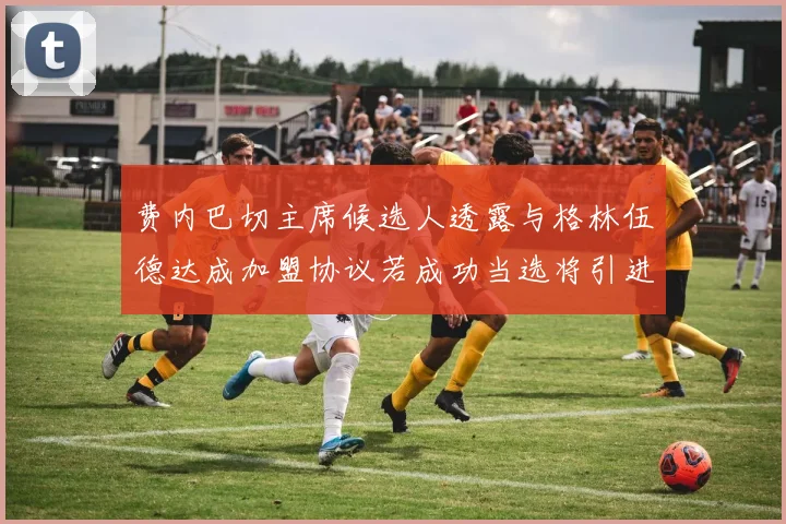 费内巴切主席候选人透露与格林伍德达成加盟协议若成功当选将引进他