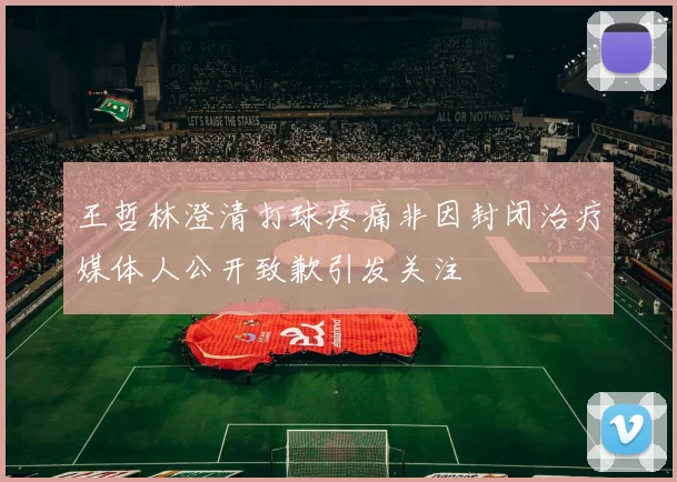 王哲林澄清打球疼痛非因封闭治疗媒体人公开致歉引发关注